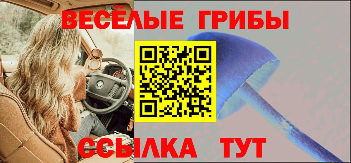 Партизанск  Галлюциногенные грибы ЛСД  Вход с VPN 